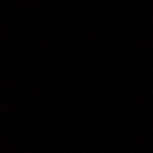 Meet your Posher, Daisy